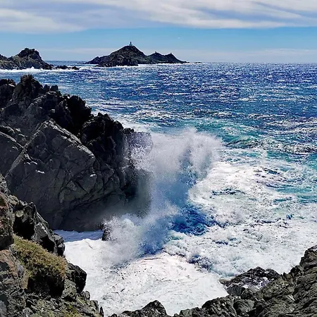 Awesome In With Wifi * Ajaccio (Corsica)