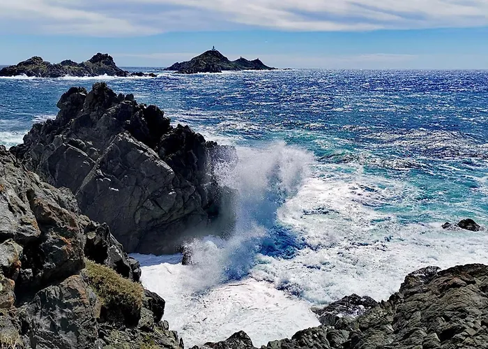 Awesome In With Wifi * Ajaccio (Corsica)